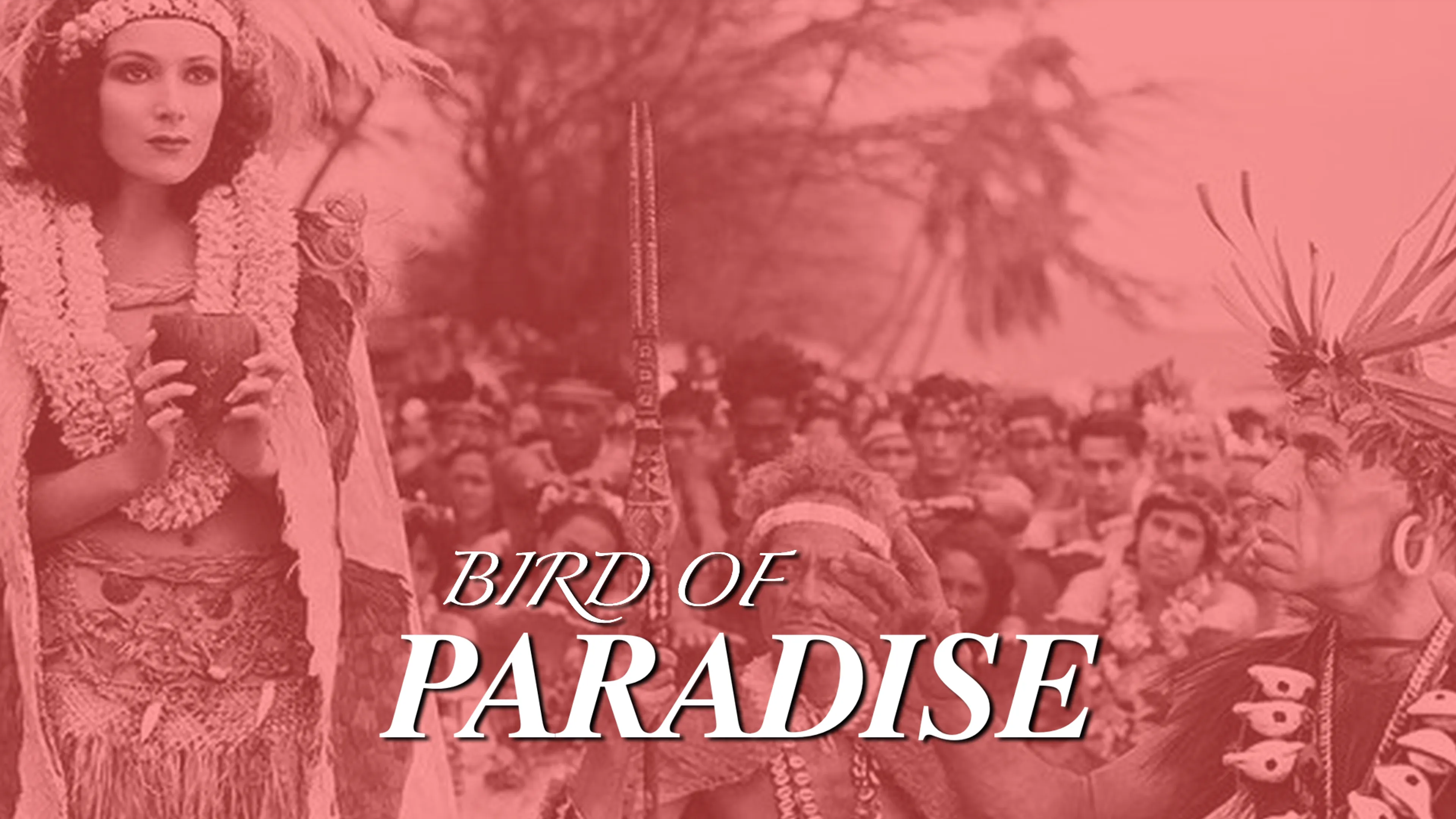 Bird of Paradise poster